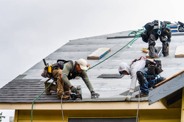 Professional Gutter Installation technician working in Wise River, MT